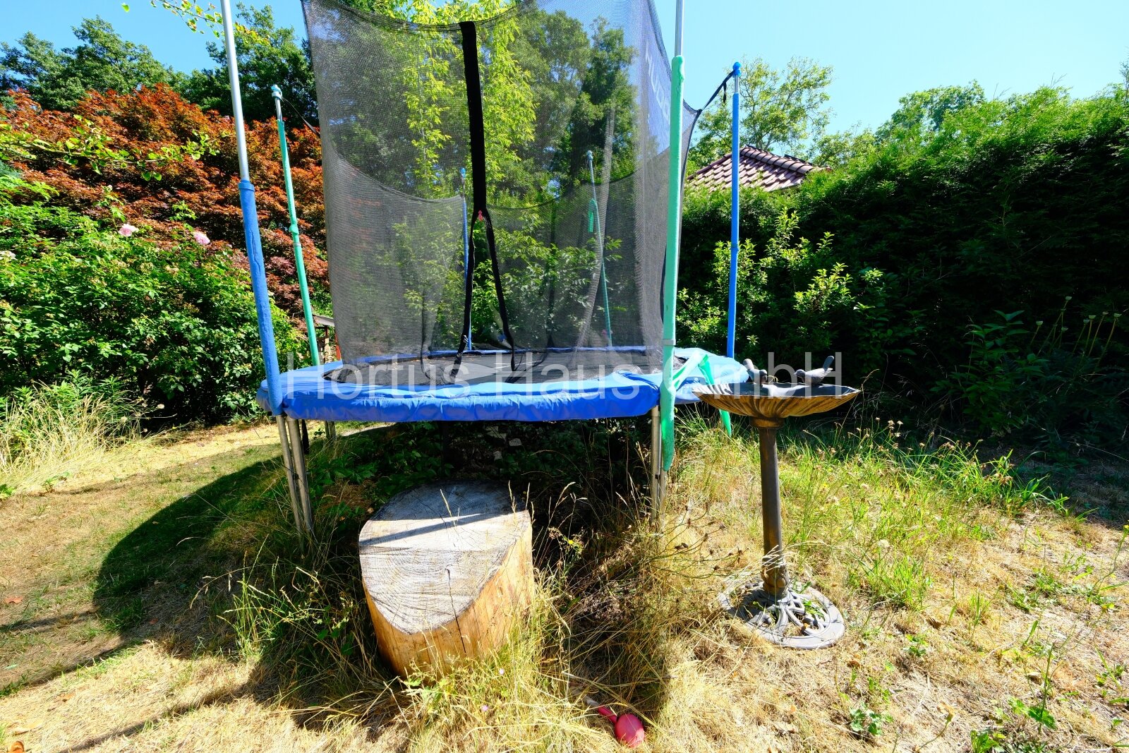 Trampolin Trampolin