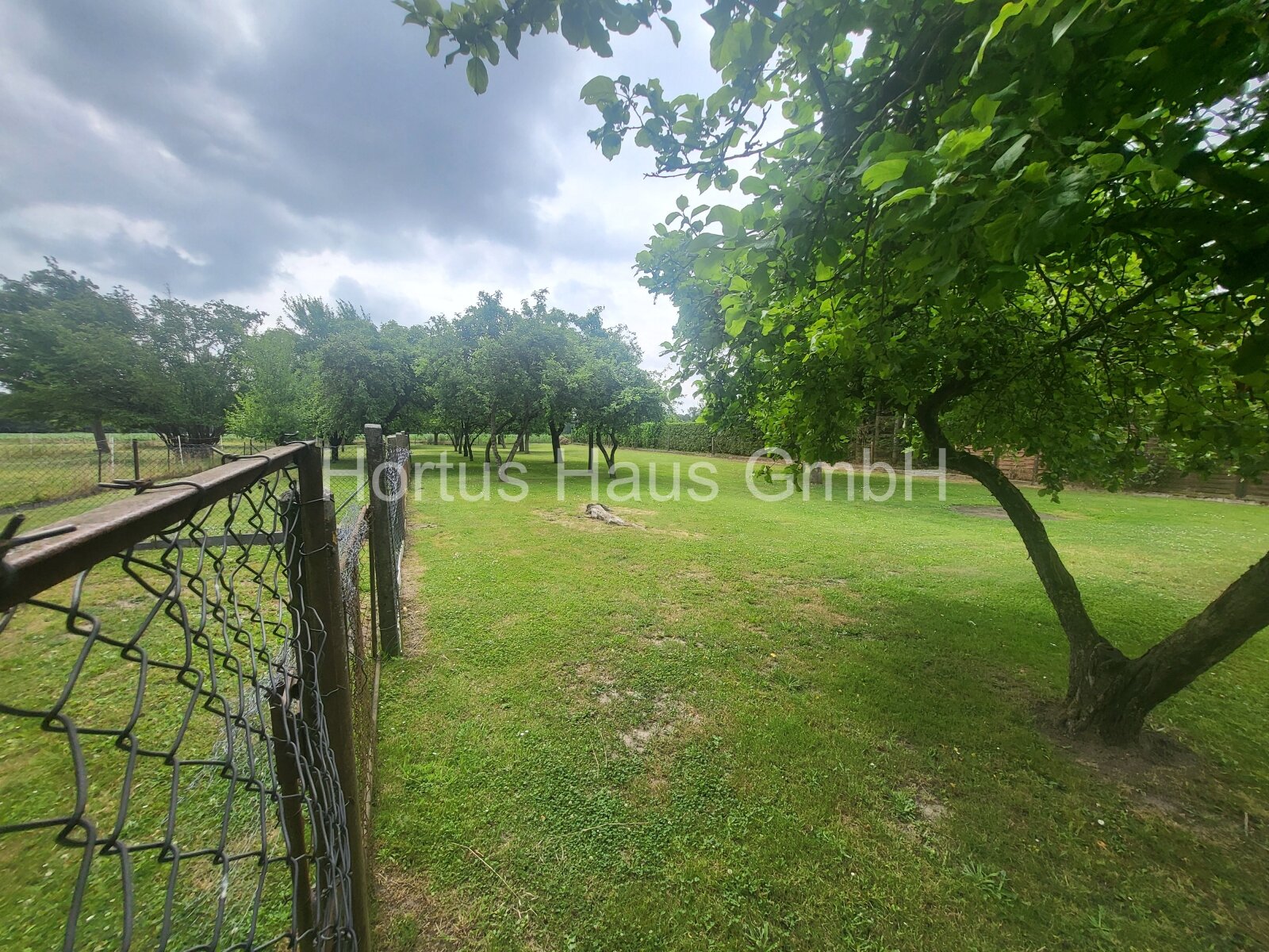 Obstgarten Obstgarten