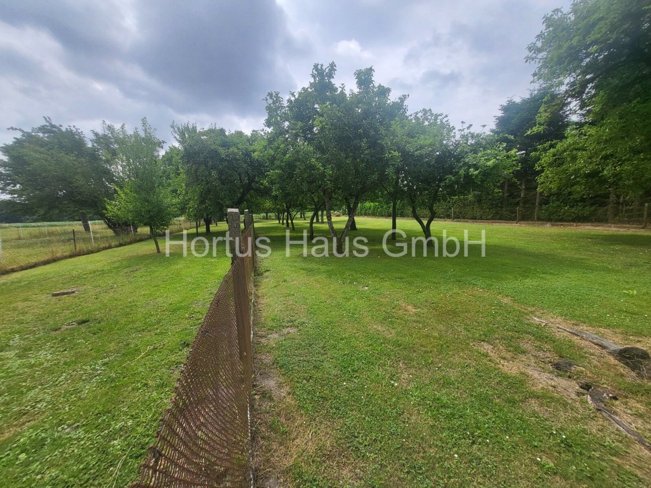 Obstgarten Obstgarten