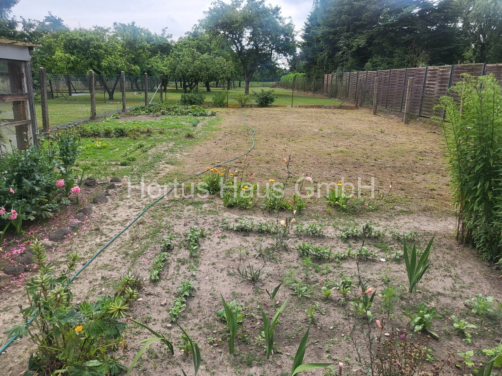 Gemüsegarten Gemüsegarten