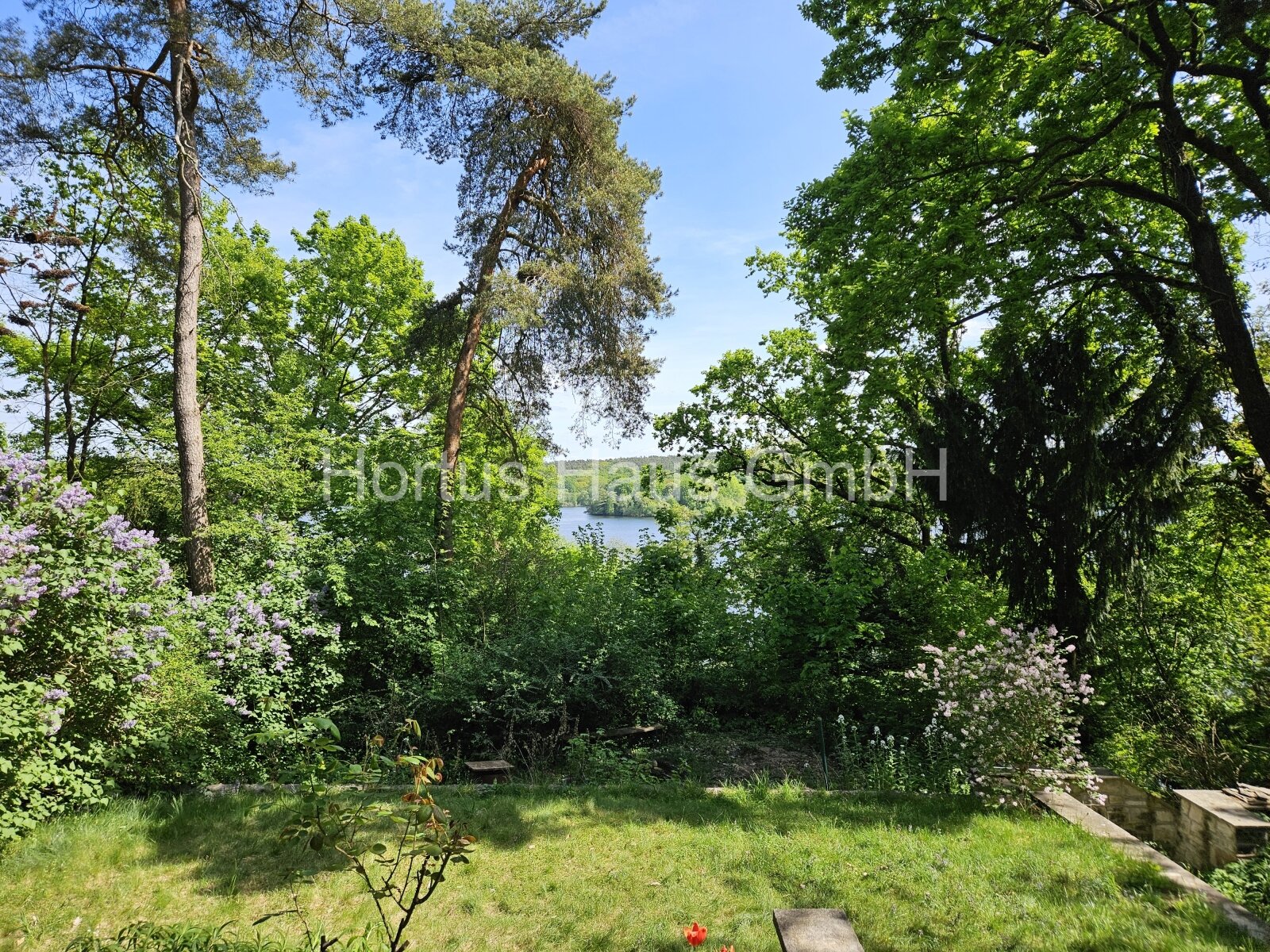 Havelblick Havelblick