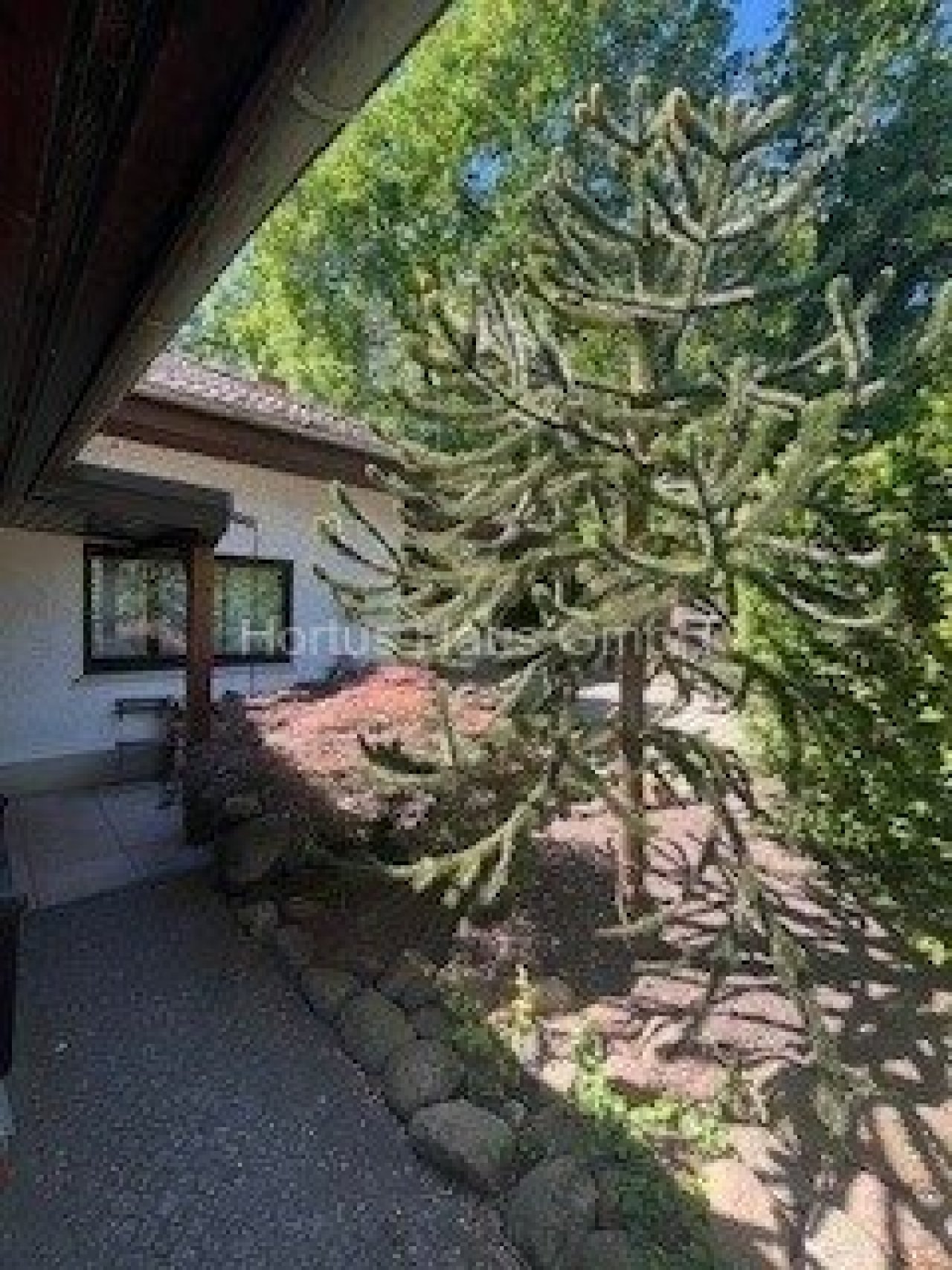Garten 8 Garten 8
