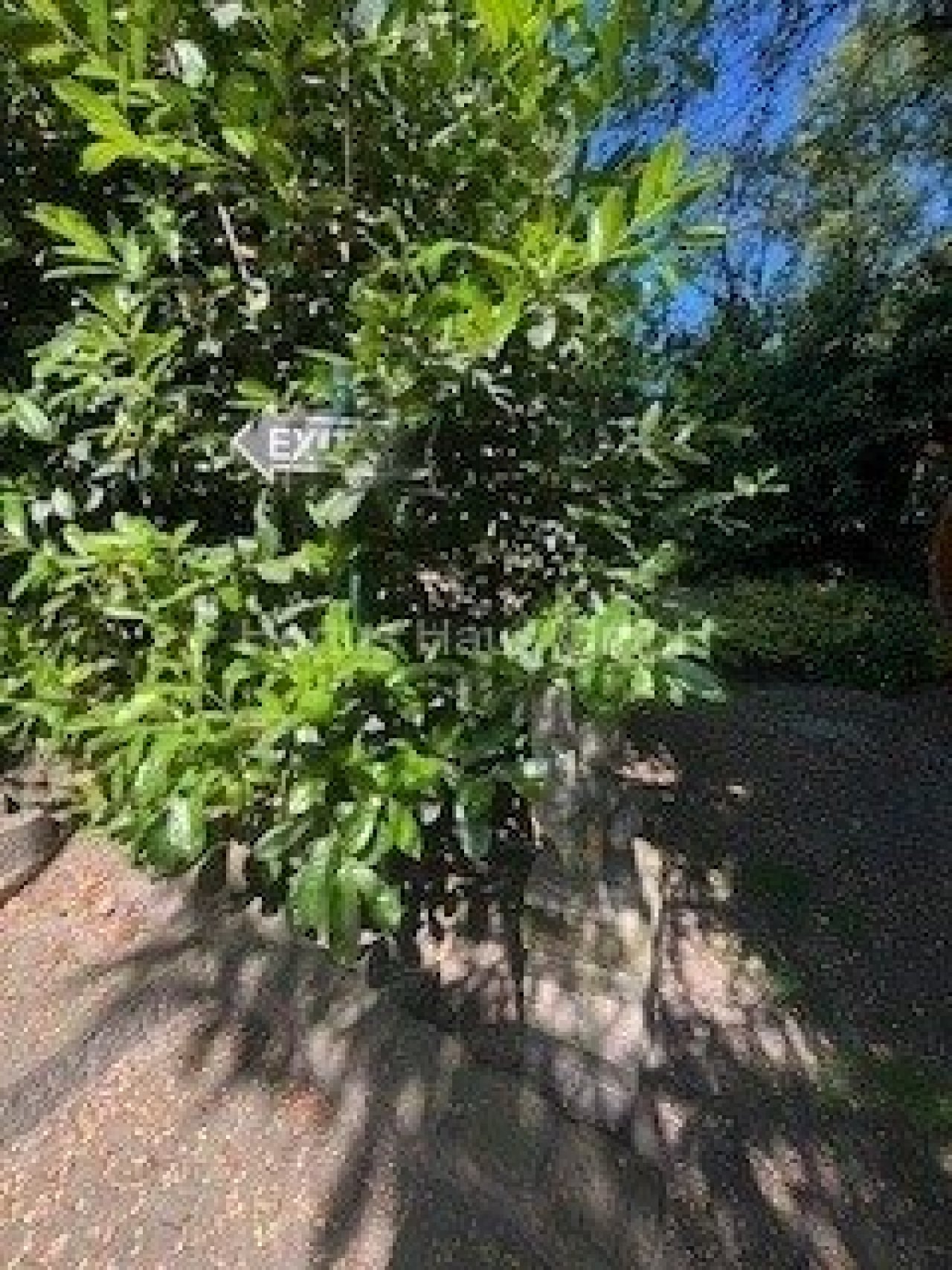 Garten 5 Garten 5